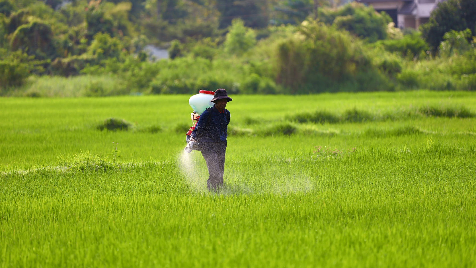 Agrochemicals জন্য Monoethanolamine কি ব্যবহার করা হয়?